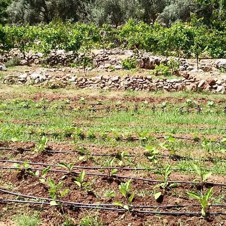 Datca Organik Farm Hause