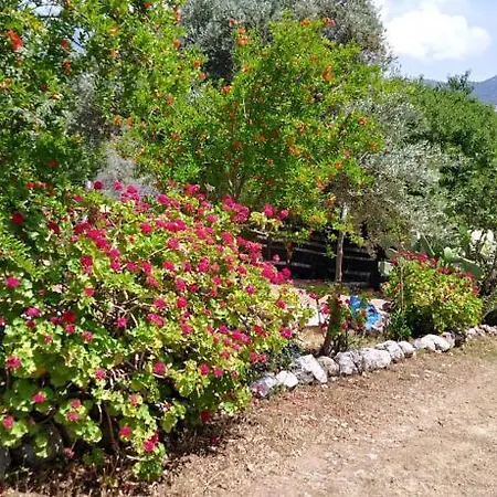 Datca Organik Farm Hause * Mugla