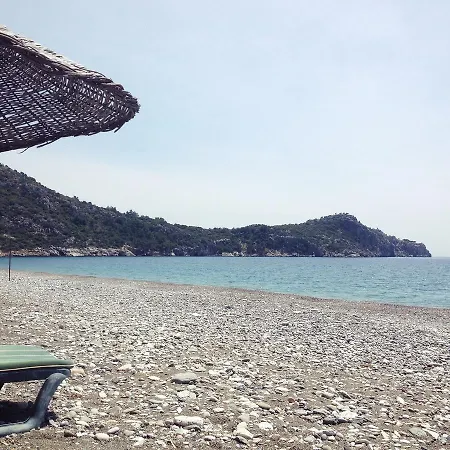 Datca Organik Farm Hause