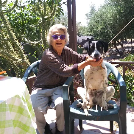 Feriehus Datca Organik Farm Hause