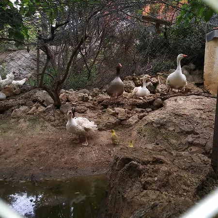 Datca Organik Farm Hause Mugla