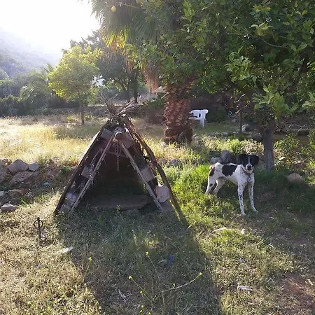 Feriehus Datca Organik Farm Hause Mugla