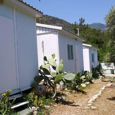Datca Organik Farm Hause