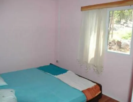 Datca Organik Farm Hause Case de vacanță *