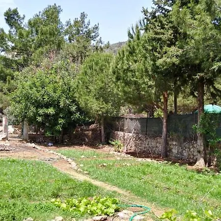 Datca Organik Farm Hause Case de vacanță Muğla