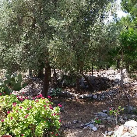 Datca Organik Farm Hause