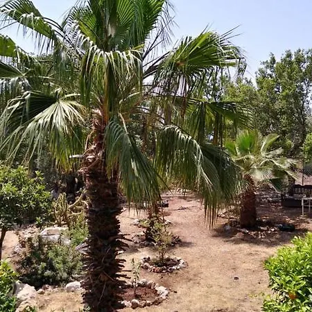 Case de vacanță Datca Organik Farm Hause *