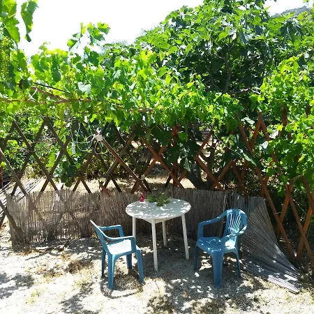 Datca Organik Farm Hause Case de vacanță Muğla