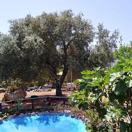 Datca Organik Farm Hause