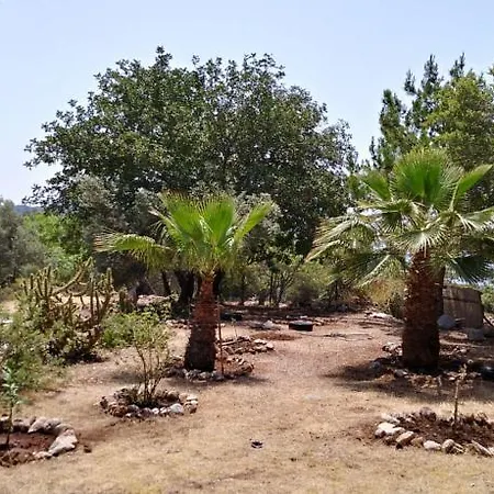Case de vacanță Datca Organik Farm Hause Muğla