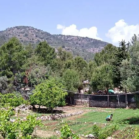 Datca Organik Farm Hause Case de vacanță Muğla