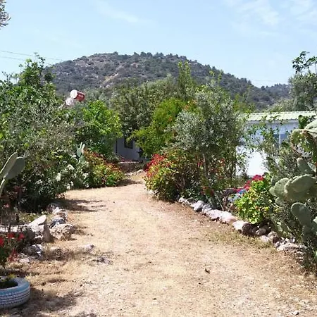 Case de vacanță Datca Organik Farm Hause *