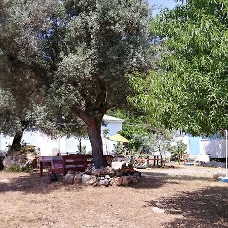 Datca Organik Farm Hause *