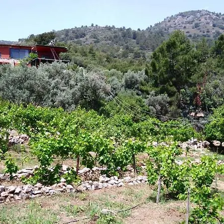 Case de vacanță Datca Organik Farm Hause