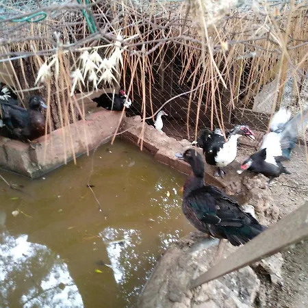 Datca Organik Farm Hause Muğla