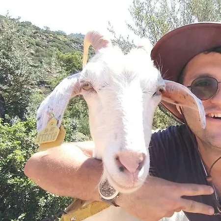 Case de vacanță Datca Organik Farm Hause