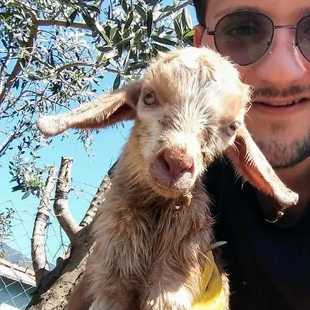 Datca Organik Farm Hause * Muğla