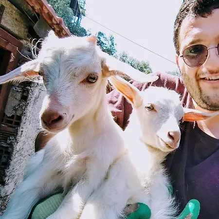 Case de vacanță Datca Organik Farm Hause *