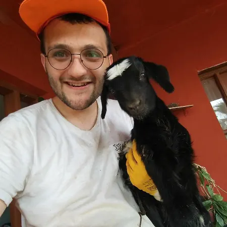 Case de vacanță Datca Organik Farm Hause *